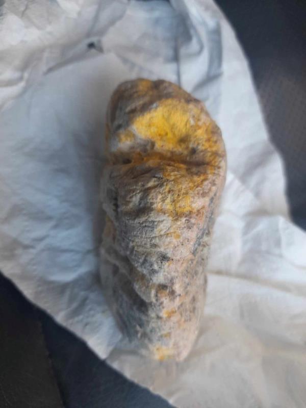 帕特里克·威廉姆森说，他的狗丢了球，捡起了他认为是鲸鱼呕吐物的块状物。